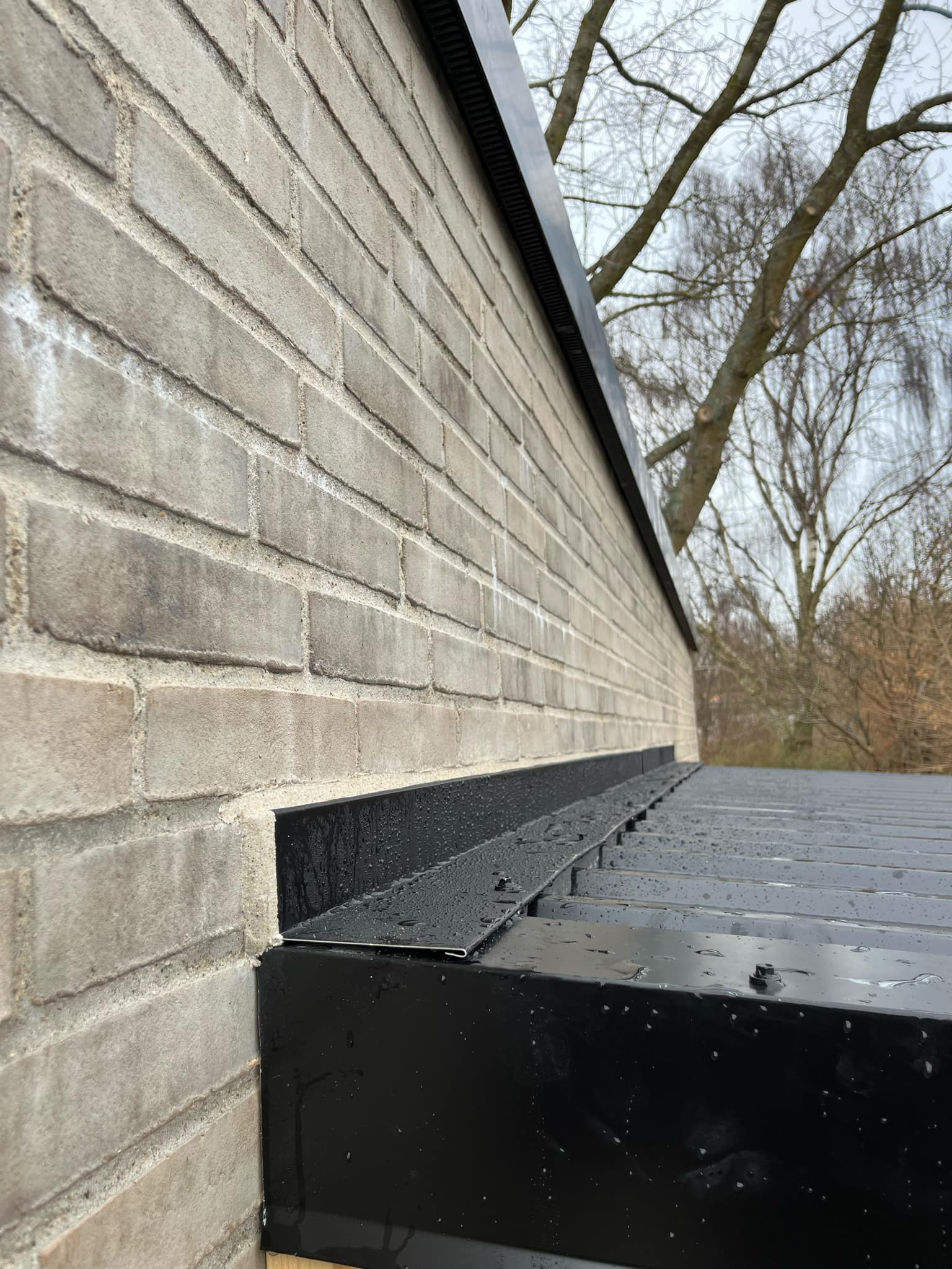 Afbf9c9f 705B 49A5 9822 6B8b5c3a859f